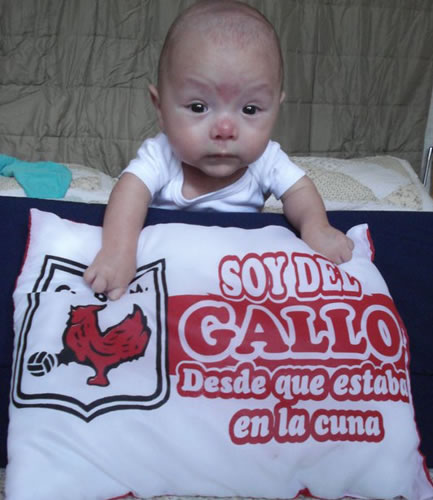 julio antonio 6 meses del gallo en guatemala.jpg